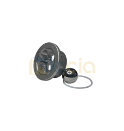 Kit V�lvula de Entrada 395/490/495 - 246429 Original Graco